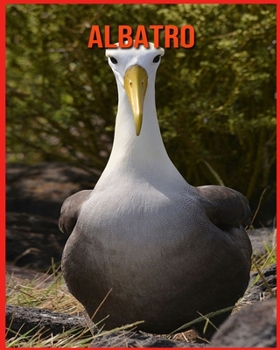 Albatro: Immagini bellissime e fatti interessanti Libro per bambini sui Albatro