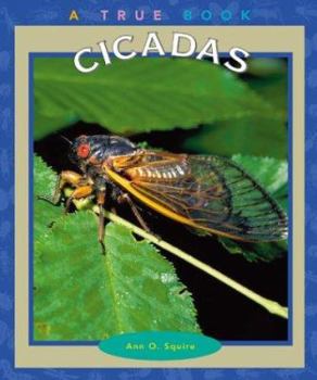 Cicadas (True Books) - Book  of the A True Book