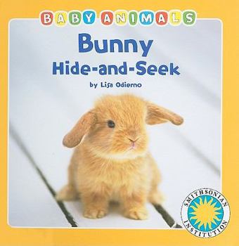 Board book Bunny Hide-And-Seek Book