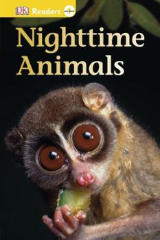 Hardcover Nighttime Animals Book