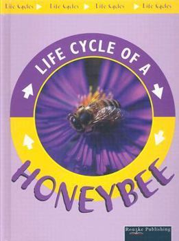 Library Binding Honeybee Book