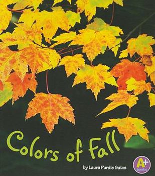 Paperback Colors of Fall Book