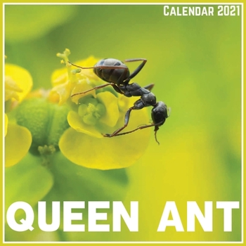 Paperback Queen Ant Calendar 2021: Official Queen Ant Calendar 2021, 12 Months Book