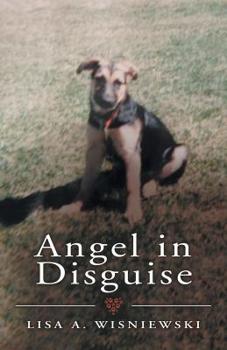 Paperback Angel in Disguise Book