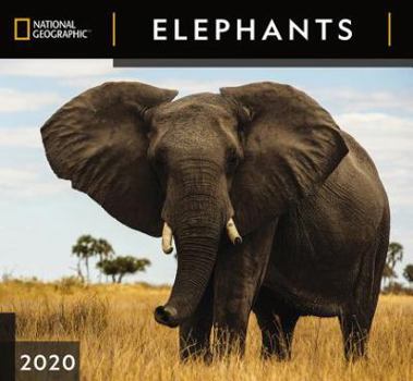 Calendar Cal 2020-National Geographic Elephants Wall Book