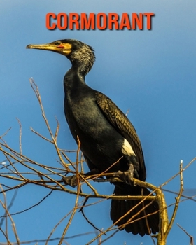Cormorant: Beautiful Pictures & Interesting Facts Children Book About Cormorant