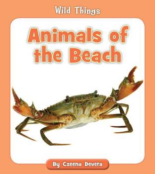 Paperback Animals of the Beach Book