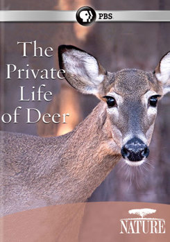 DVD Nature: The Private Life of Deer Book