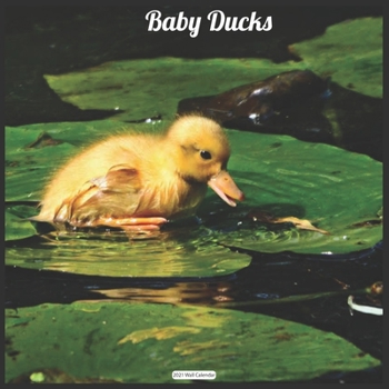 Baby Ducks 2021 Wall Calendar: Official Duckling Calendar 2021