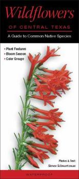 Pamphlet Wildflowers of Central Texas: A Guide to Common Native Species Book