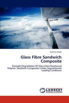 Paperback Glass Fibre Sandwich Composite Book
