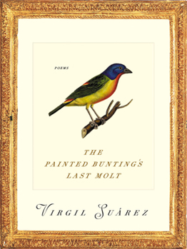 Paperback The Painted Bunting's Last Molt: Poems Book