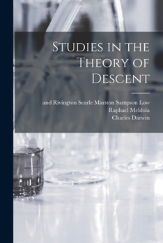 Paperback Studies in the Theory of Descent Book