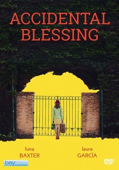 DVD Accidental Blessing Book