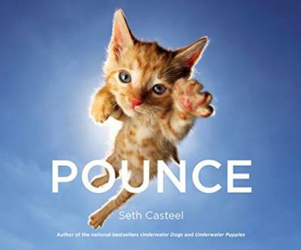Hardcover Pounce Book