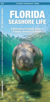 Paperback Florida Seashore Life, 2nd Ed: A Folding Guide to Familiar Animals & Plants Book