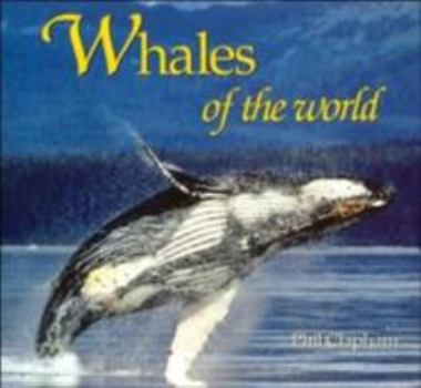 Paperback Whales of the World Book