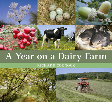 Paperback A Year on a Dairy Farm Book