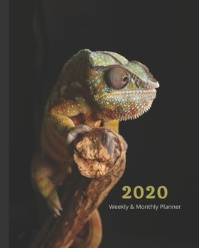 Paperback 2020 Weekly & Monthly View Planner: Lizard Looks 8"x10" (20.32cm X 25.4cm) 12-Month Notebook Calendar Schedule Organizer Jan 1, 2020 - Dec 31, 2020 Book