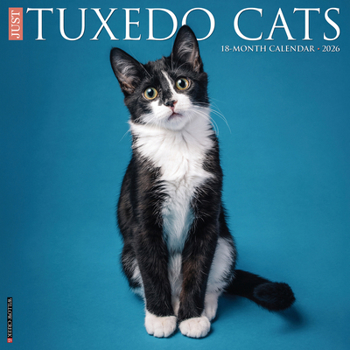 Calendar Tuxedo Cats 2026 Wall Calendar Book