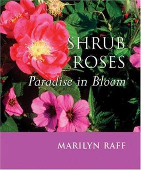 Paperback Shrub Roses: Paradise in Bloom Book