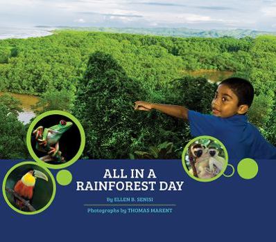 Hardcover All in a Rainforest Day Book