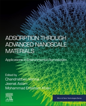 Paperback Adsorption Through Advanced Nanoscale Materials: Applications in Environmental Remediation Book