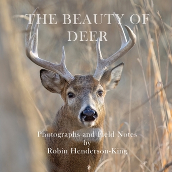 Paperback The Beauty of Deer: Photographs and Field Notes Book