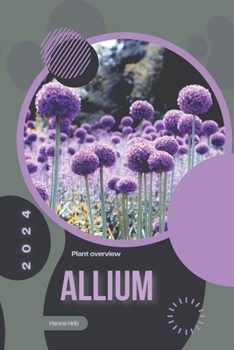 Allium: Simply beginners guide