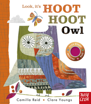 Board book Look, It's Hoot Hoot Owl Book