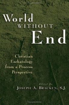 Hardcover World Without End: Christian Eschatology From A Process Perspective Book