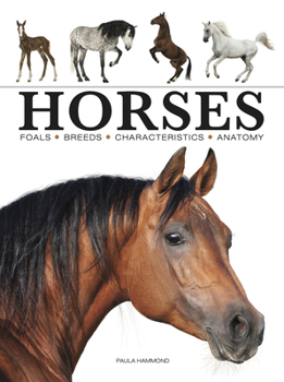 Paperback Horses Book