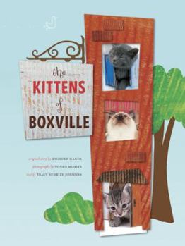 Paperback Kittens of Boxville Book