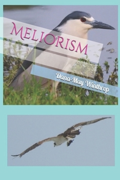 Paperback Meliorism Book