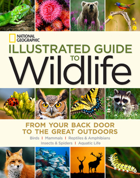 Illustrated Guide to Nature: From Your Back Door to the Great Outdoors