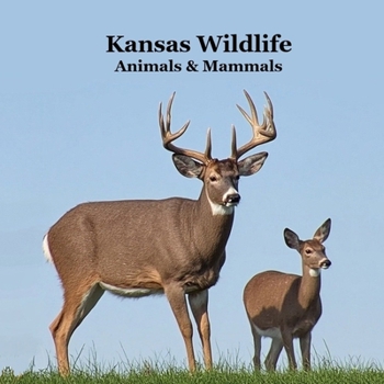 Kansas Animals and Mammals Kids Wildlife Book: Great Kansas Animals book with Lifelike Images and Fun Facts