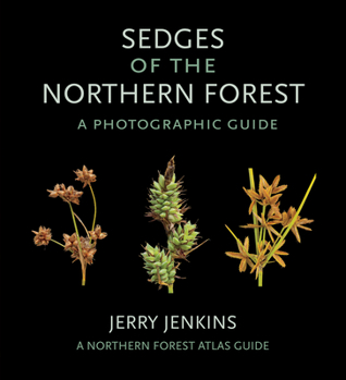 Paperback Sedges of the Northern Forest: A Photographic Guide Book