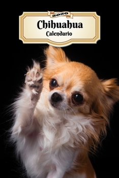 Paperback 2020 Chihuahua Calendario: 107 P?ginas Tama?o A5 Planificador Semanal 12 Meses 1 Semana en 2 P?ginas Agenda Semana Vista Tapa Blanda Perro [Spanish] Book