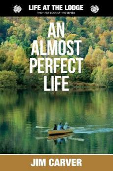 Paperback An Almost Perfect Life Book