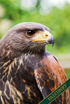 Falconry: Desert Hawk, Desert Buzzard, Harris Hawk. Format A5, 120 pages, fine light grey lined. Daily entries, notes and journal for the falconer, the falconer, nature and bird friends.