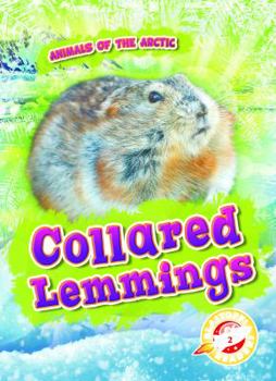 Library Binding Collared Lemmings Book