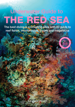 Paperback An Underwater Guide to the Red Sea Book