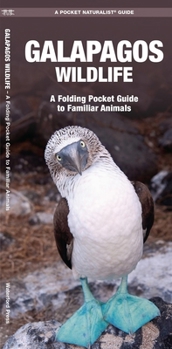 Paperback Galapagos Wildlife: An Introduction to Familiar Species Book