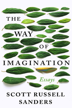 Paperback The Way of Imagination: Essays Book