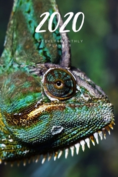 2020 Weekly & Monthly Planner: Chameleon – 6X9 Size – Glossy Soft Cover - Multi-Purpose: Organizer/Calendar/Notebook/Agenda/Diary/Journal. (Animals Themed Planners)