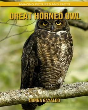 Great Horned Owl: Amazing Pictures and Facts