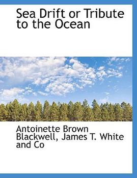 Sea Drift or Tribute to the Ocean