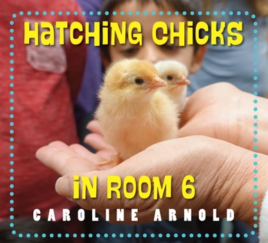 Hardcover Hatching Chicks in Room 6 Book