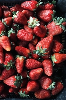 Paperback My Journal: Recipe Journal - 6"x9" - 120 Lined pages - Recipe Recording Notebook - Matte Cover Book