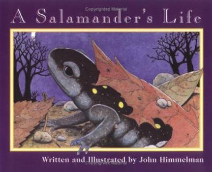 Paperback A Salamander's Life Book